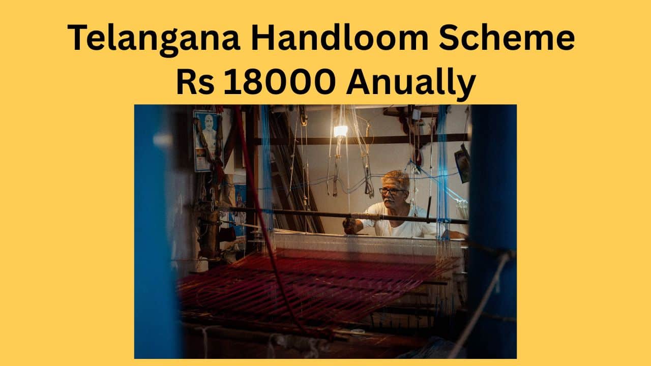 Telangana Nethannaku Bharosa Scheme