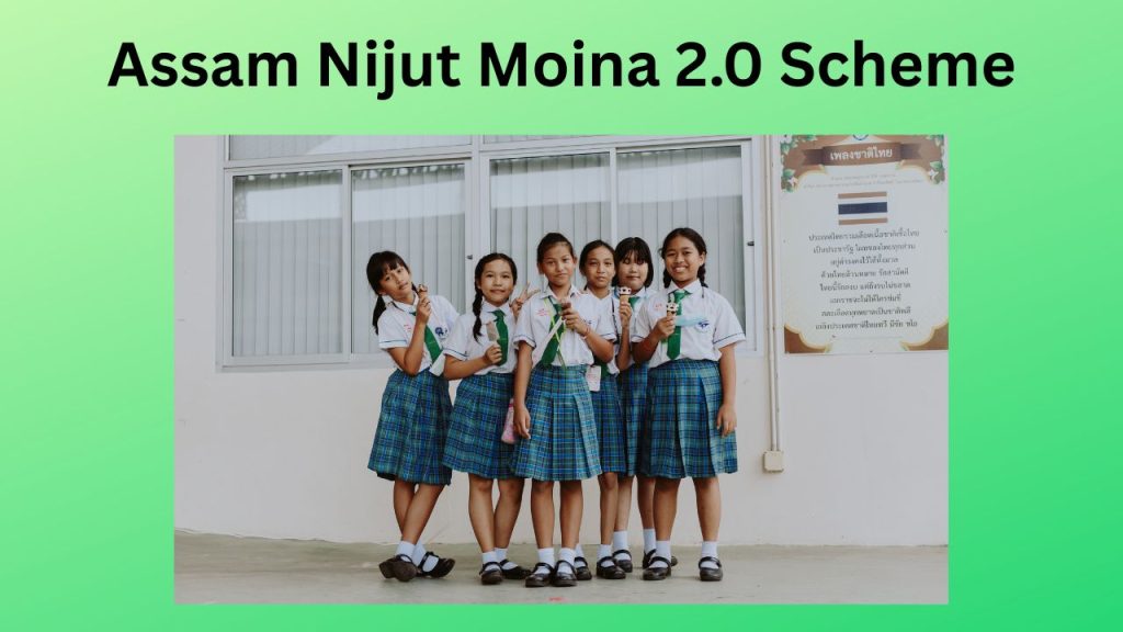 Nijut Moina 2.0 Scheme